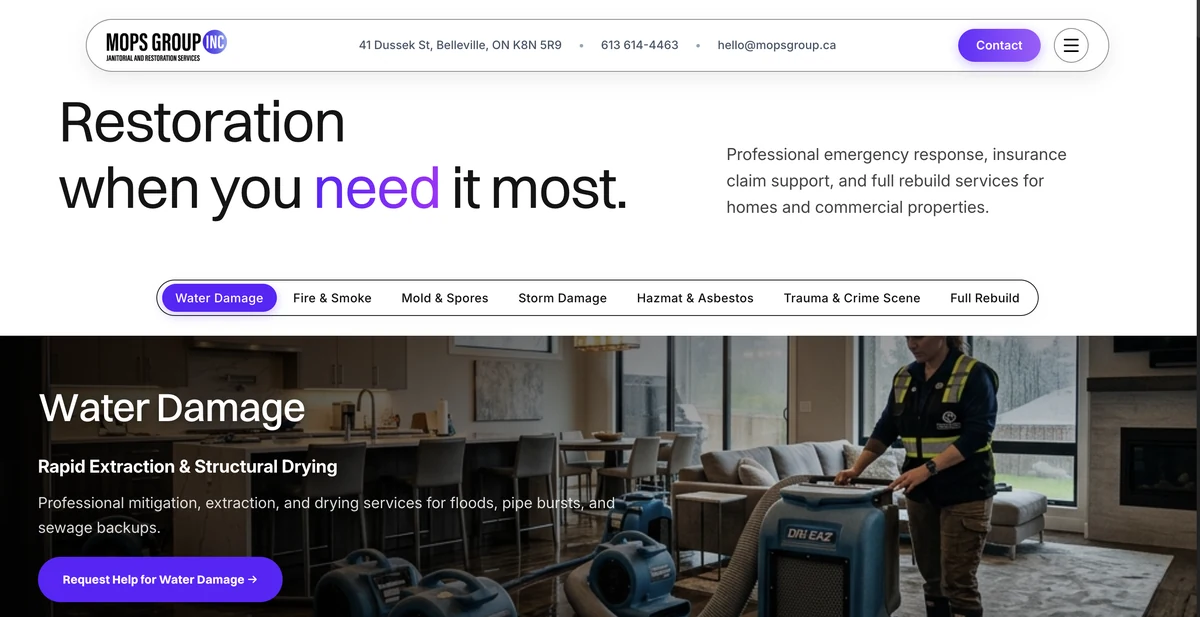 Mops Group website preview