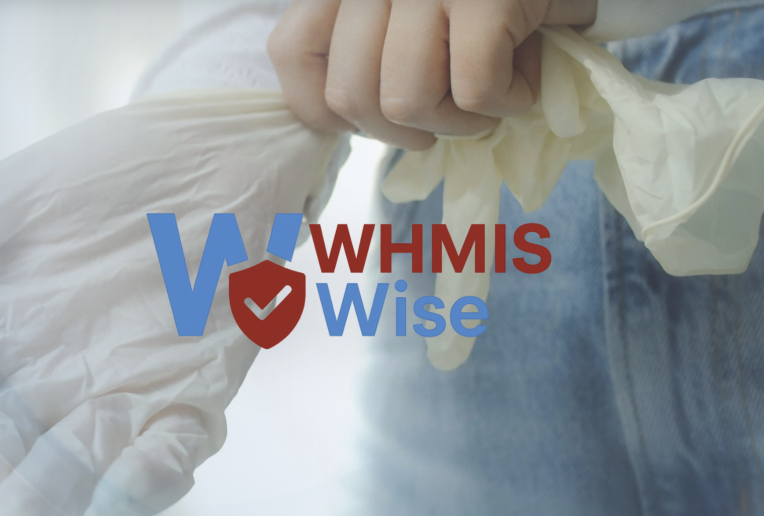 WhmisWise interactive platform preview
